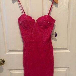 Windsor Pink Embellished Bustier Cocktail Dress